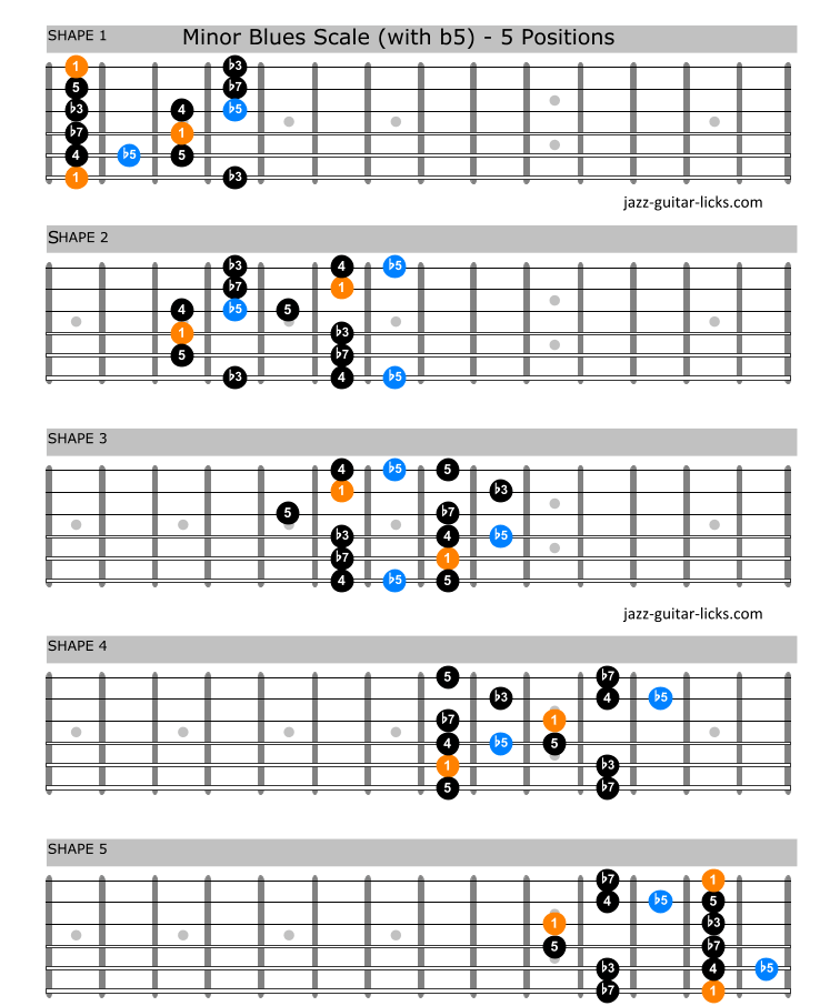 Pentatonic and Blues Scales for Seven String Guitar (Basic Scale Guides for  Seven String Guitar)